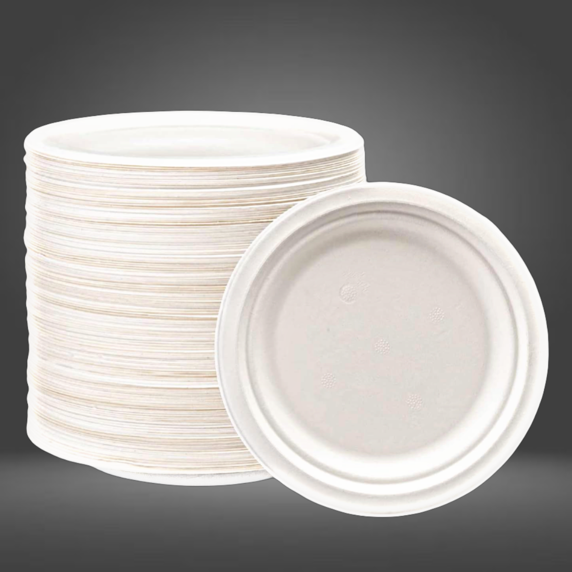 Bagasse Paper Plates 6"